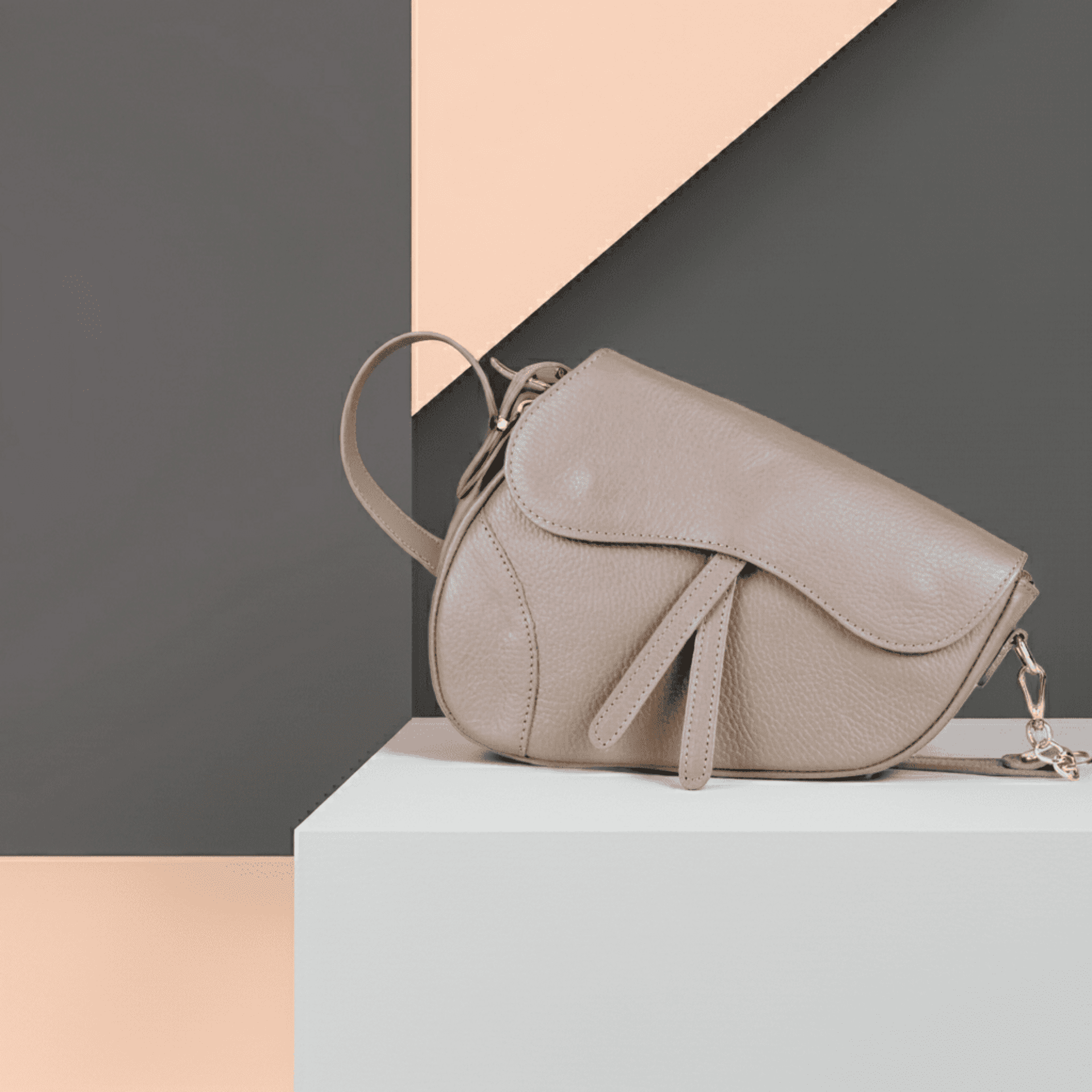 BOLSO DIOR - 2